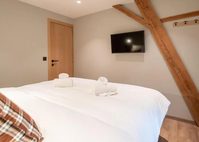 Huyze Ter Bercken With Swimming Pond By Interhome * Klemskerke